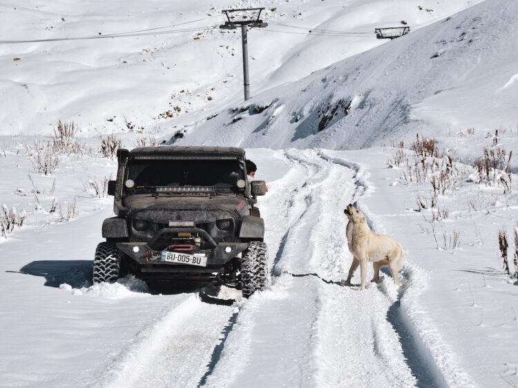 Best Snow and Winter Tires